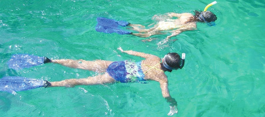 Captains Choice Snorkel Excursion on your Mexican Riviera cruise