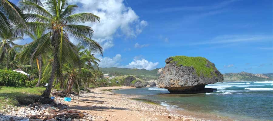 Bask in the sun on a palm-fringed beach on your Caribbean cruise