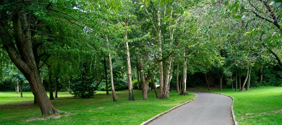 Trail through Merrion Square Park on your Ireland vacation