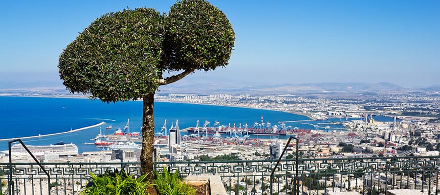 Mount Carmel on your Haifa Cruise