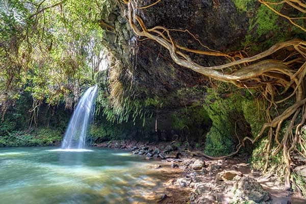 Visit Twin falls on your Hawaii cruise