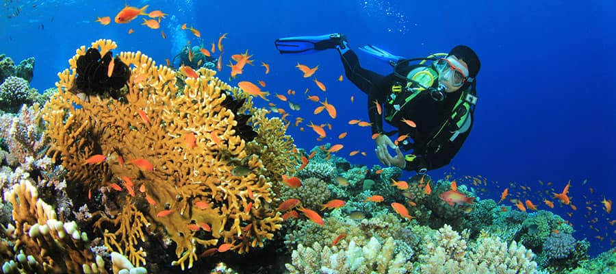 Go diving in Oranjestad when you cruise the Caribbean