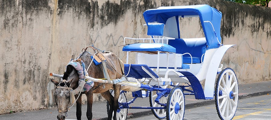 Traditional Horse Drawn Carriage on a cruise to Santo Domingo