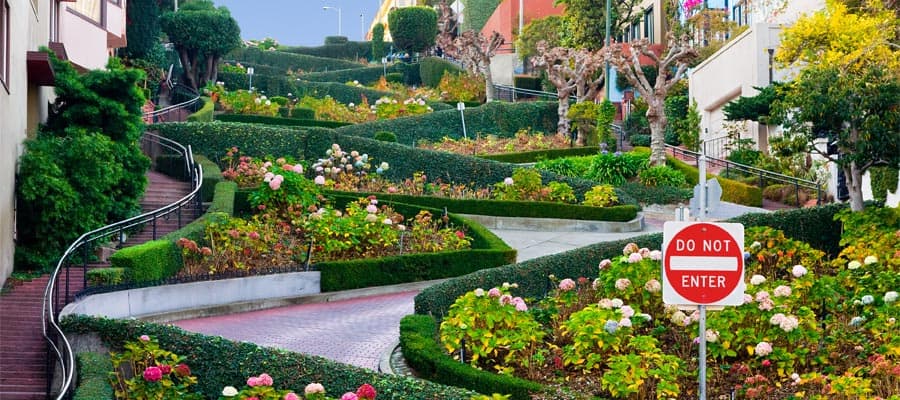 Cruise to San Francisco and see Lombard Street