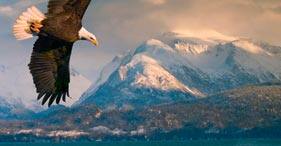 alaska cruise