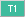T1