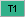 T1