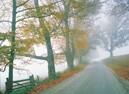Cruises to Canada and New England Fall colors on your Canada & New England cruises
