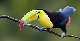 21-Day Pacific Coastal & Panama Canal