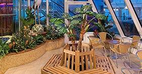 Pride of America cruise ship Conservatory.