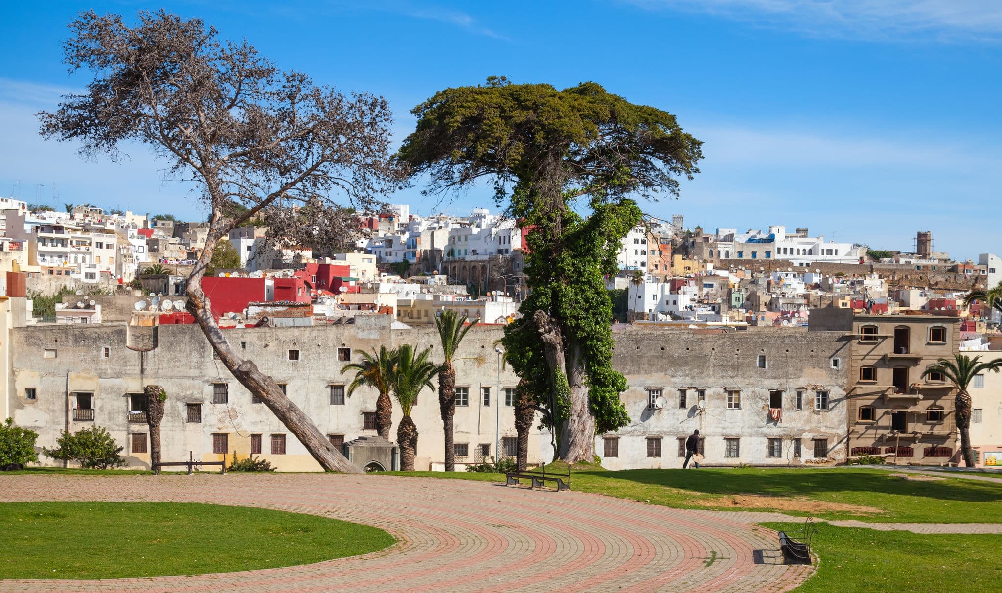 Jardins de La Mendoubia. Street view with old trees of Place du 9 Avril 1947. Tangier, Morocco