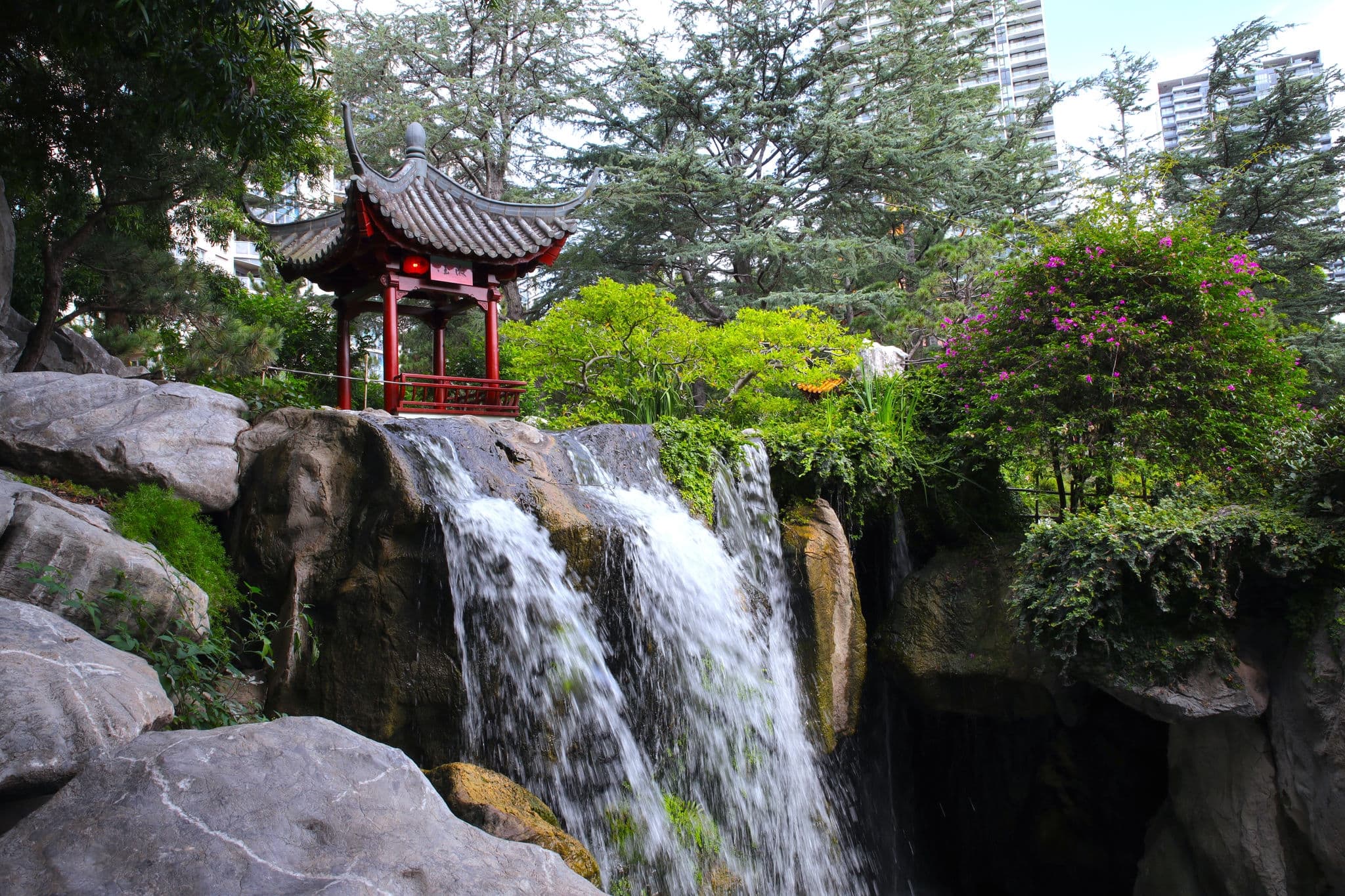 Beautiful Park with ponds lush green trees in Sydney NSW Australia at Sunset on a summer afternoon