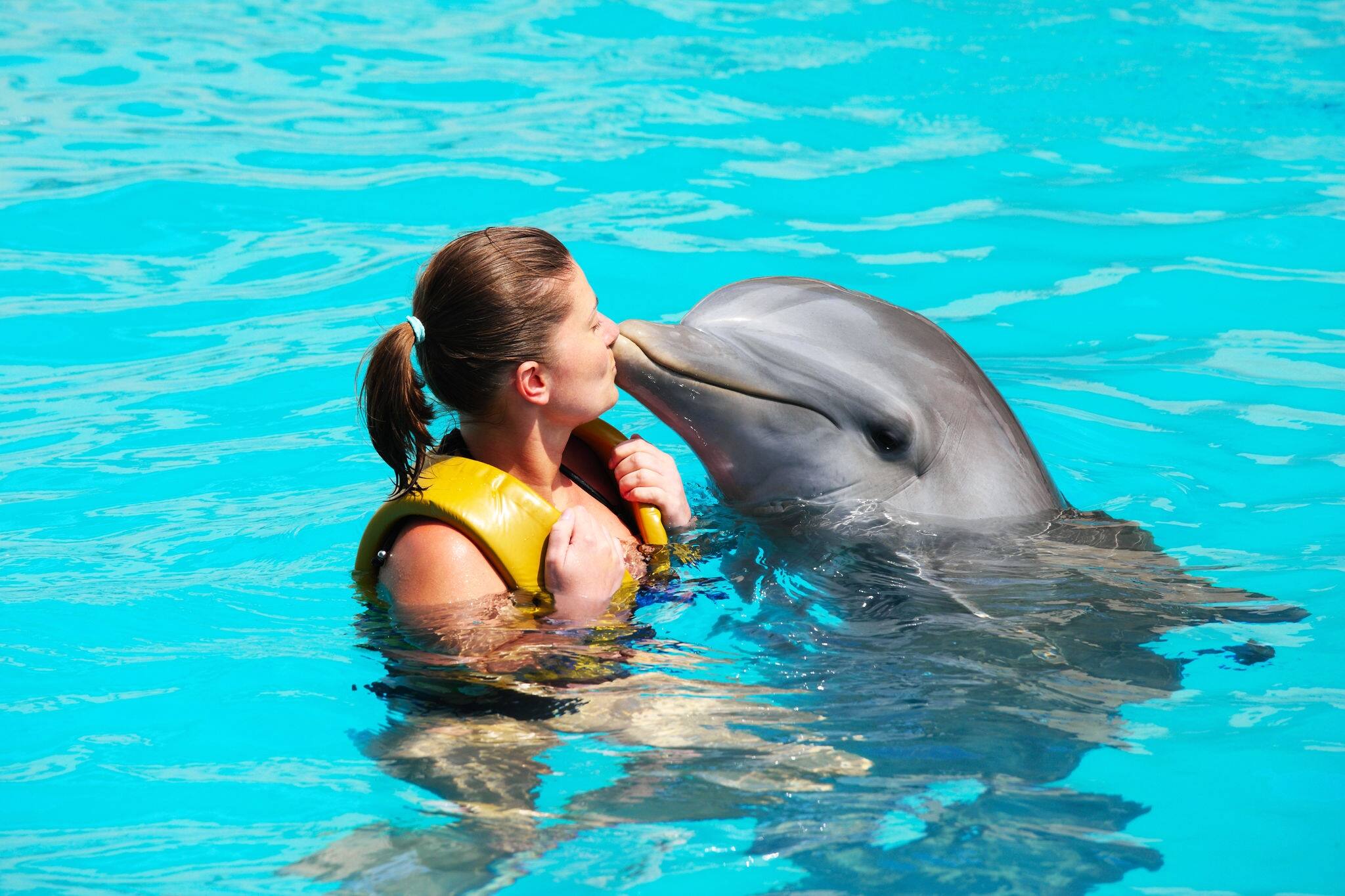 A picture of a young woman kissing a dolphin in a turquise water