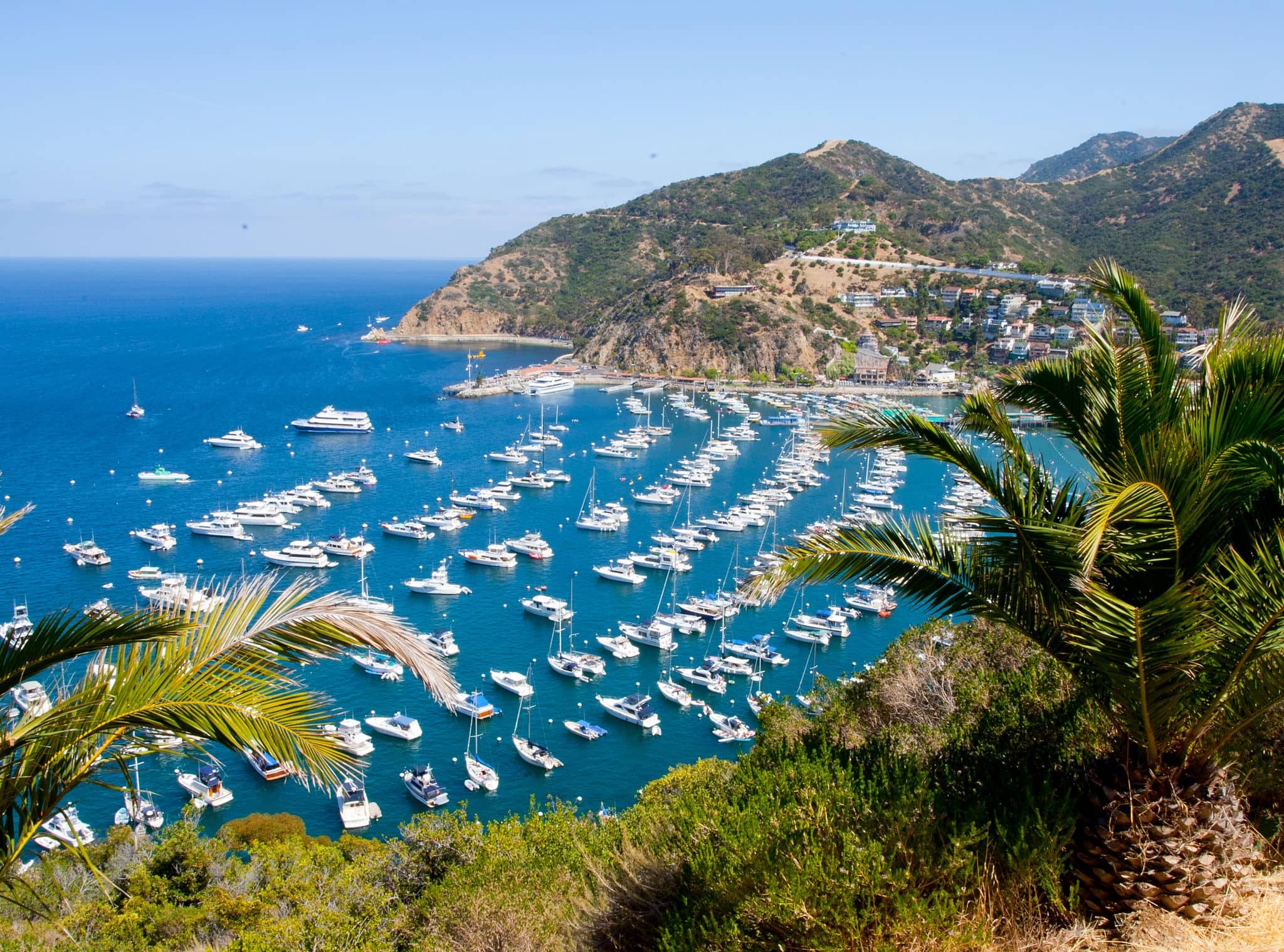 Boats lined up in harbor along Avalon, Catalina Island, California, USA