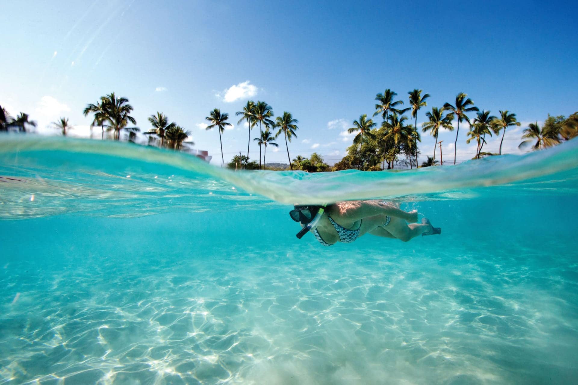 Snorkeling in the Bahamas