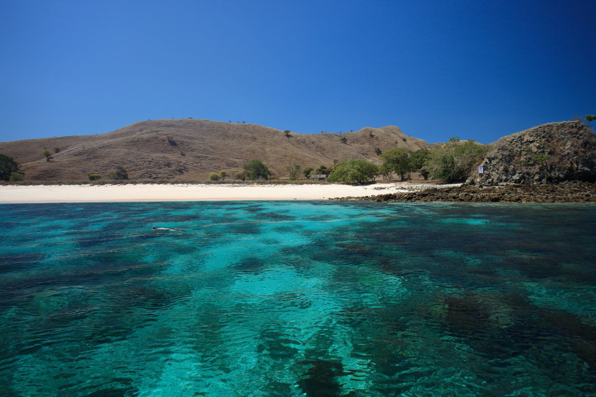 Pink Beach, Komodo Islands