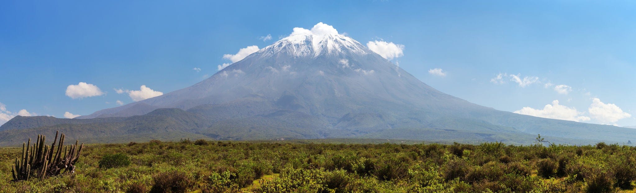 El Misti volcano and cactus, one of the best of volcanoes near Arequipa city in Peru