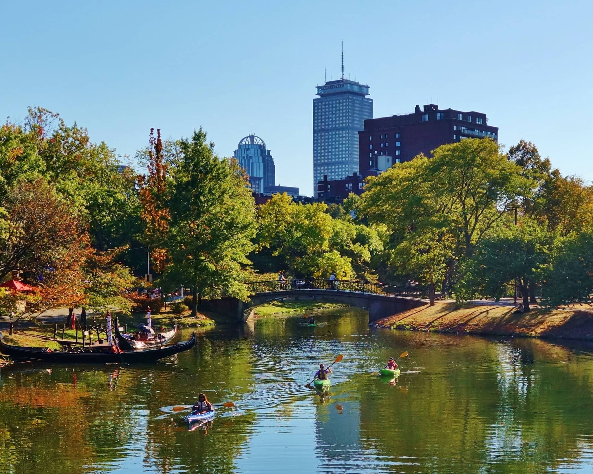 Kayaks on the Charles River Esplanade in Boston Massachusetts lined with trees, a bridge across the water and city buildings in the background on a beautiful clear blue sky autumn day.