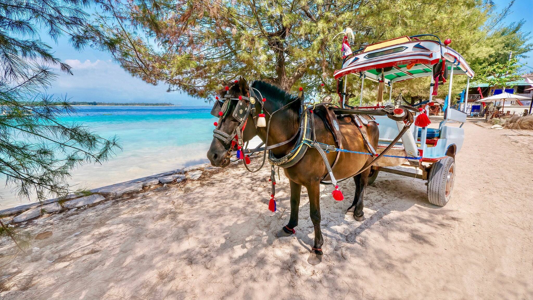 A decorated horse drawn cart known as a cidomo, on Gili Meno island in Lombok province, Indonesia. Motorized vehicles are banned in the Gili islands.