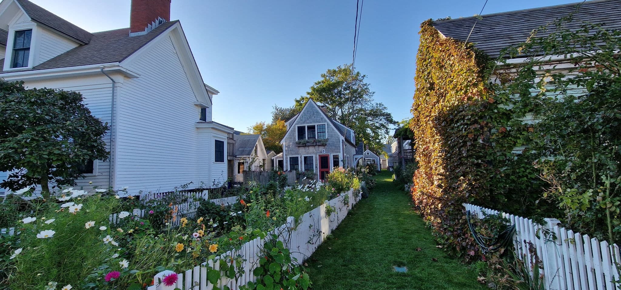 Beautiful gardens in Provincetown, Cape Cod