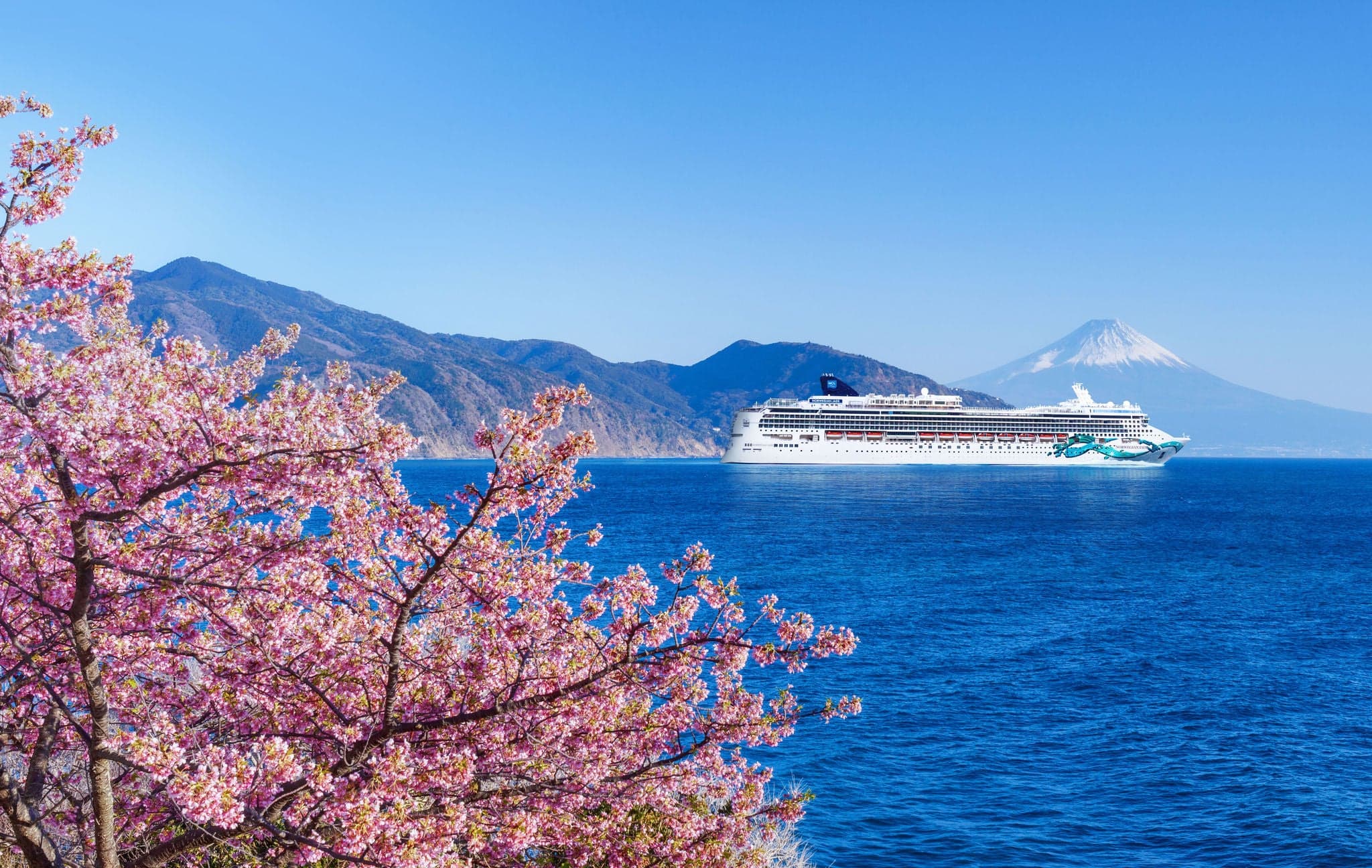 Norwegian Jade