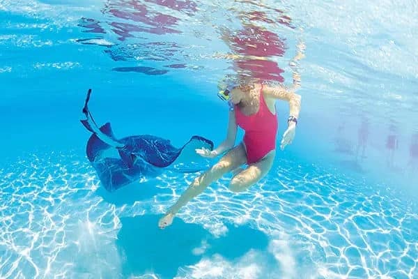NCL-Lifestyle-Cruise-Swimming-with-Stingray-Girl