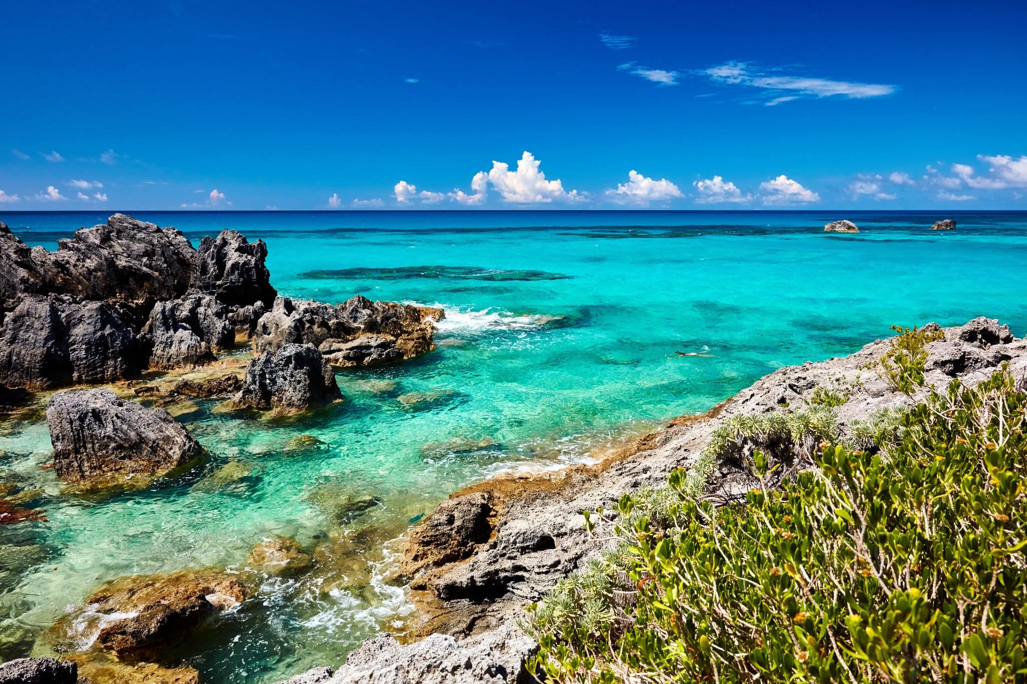 shoreline of the Bermuda Coast 