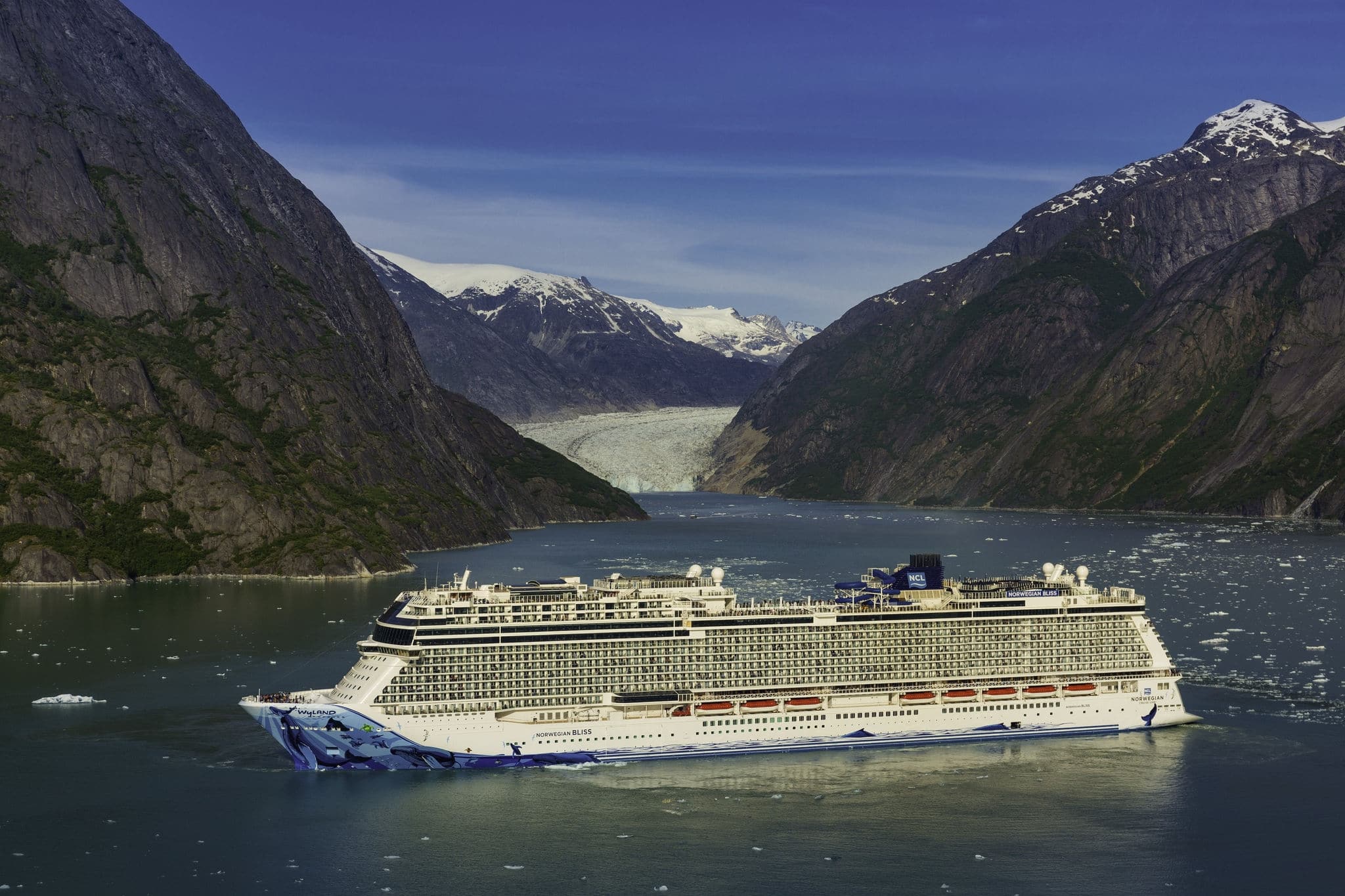 Norwegian Bliss Endicott Arm, Alaska 2018