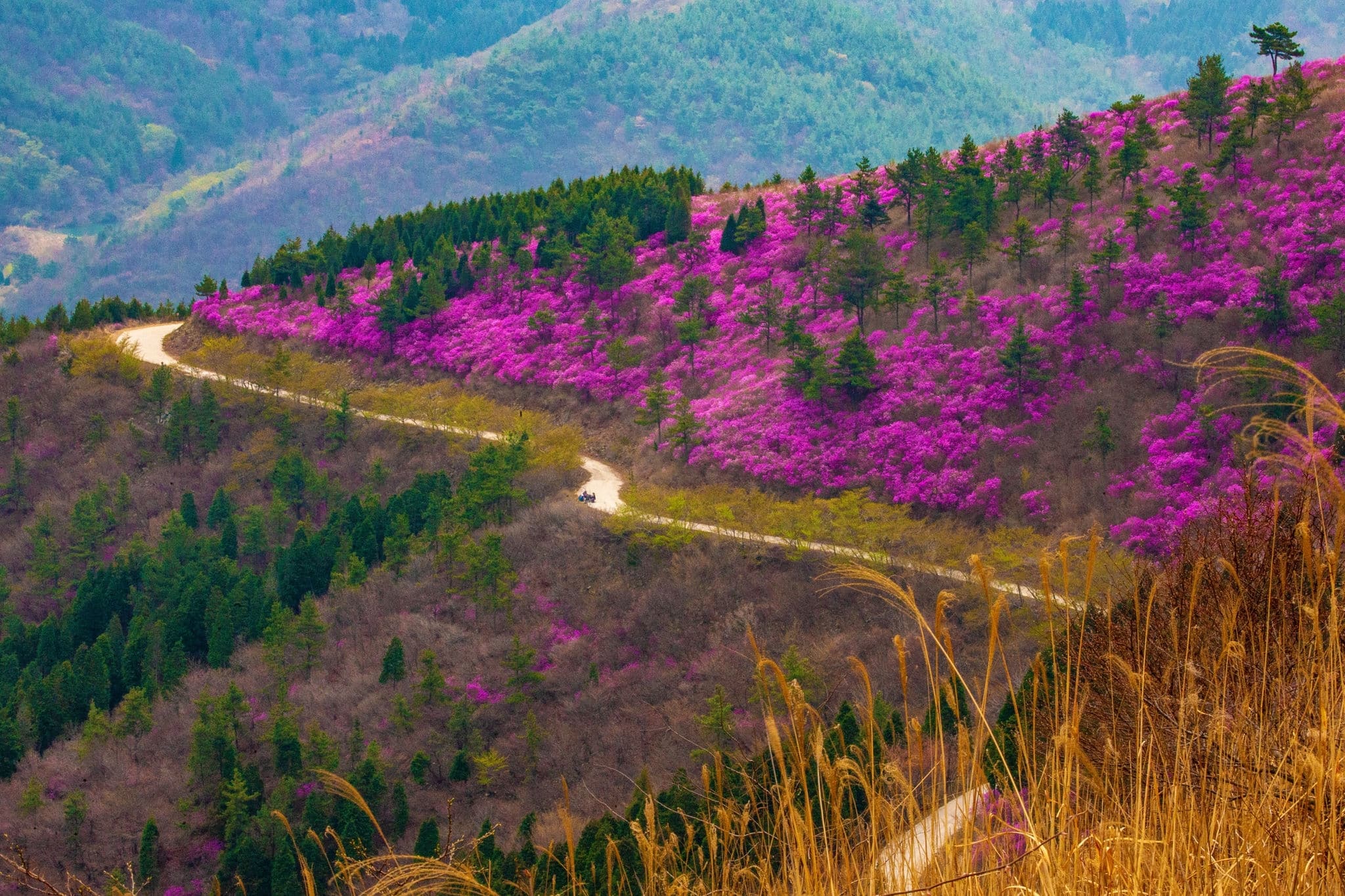 NCL-Yeosu-Cruise-Mountain-Landscape