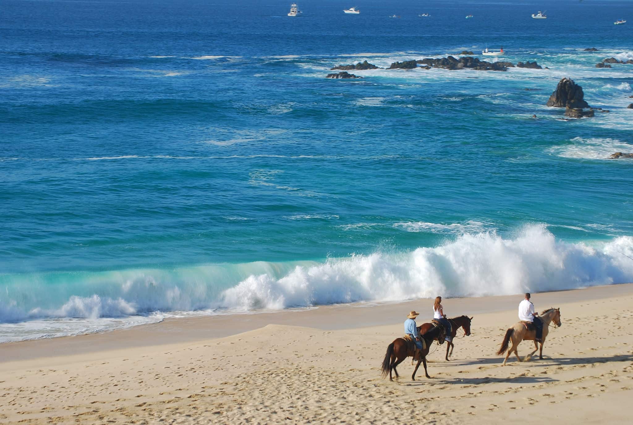Tour with three horses on beach with a beautiful waves