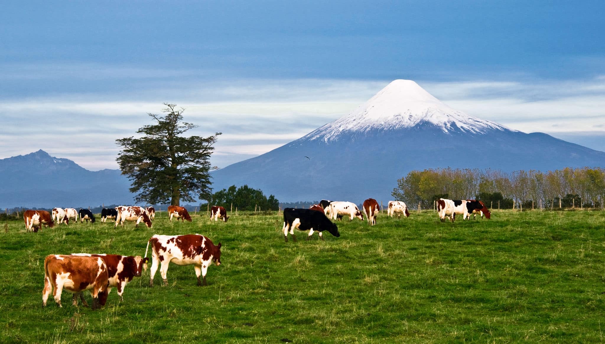 Idyllic landscape of Osorno Volcano, Lake Region, Chile 