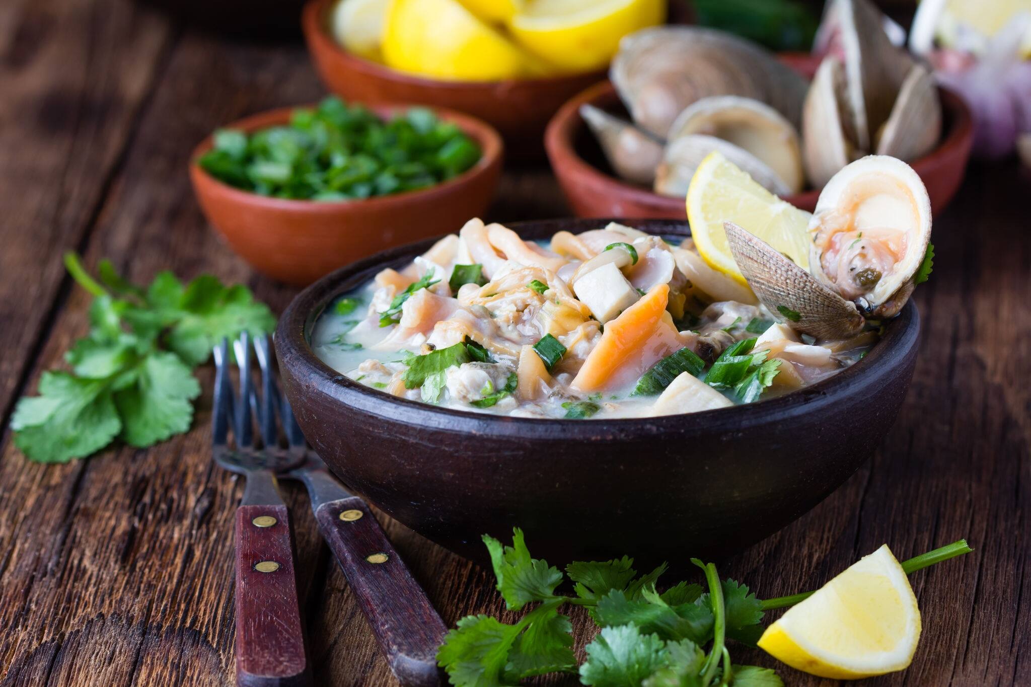 Latin American food. Seafood shellfish ceviche raw cold soup salad of seafood shellfish almejas, lemon, cilantro onion in clay bowl on wooden background. Traditional dish of Peru or Chile