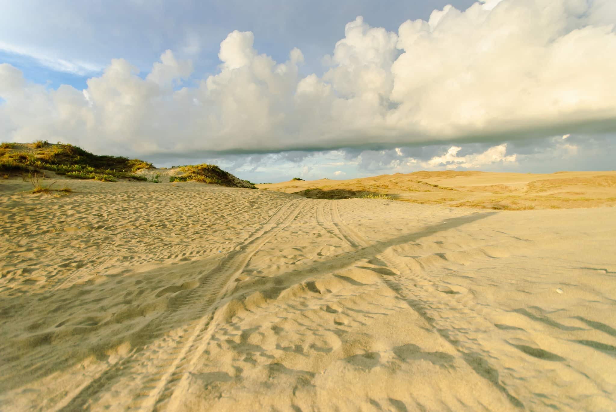 Paoay Sand Dunes, Ilocos Norte, Philippines.