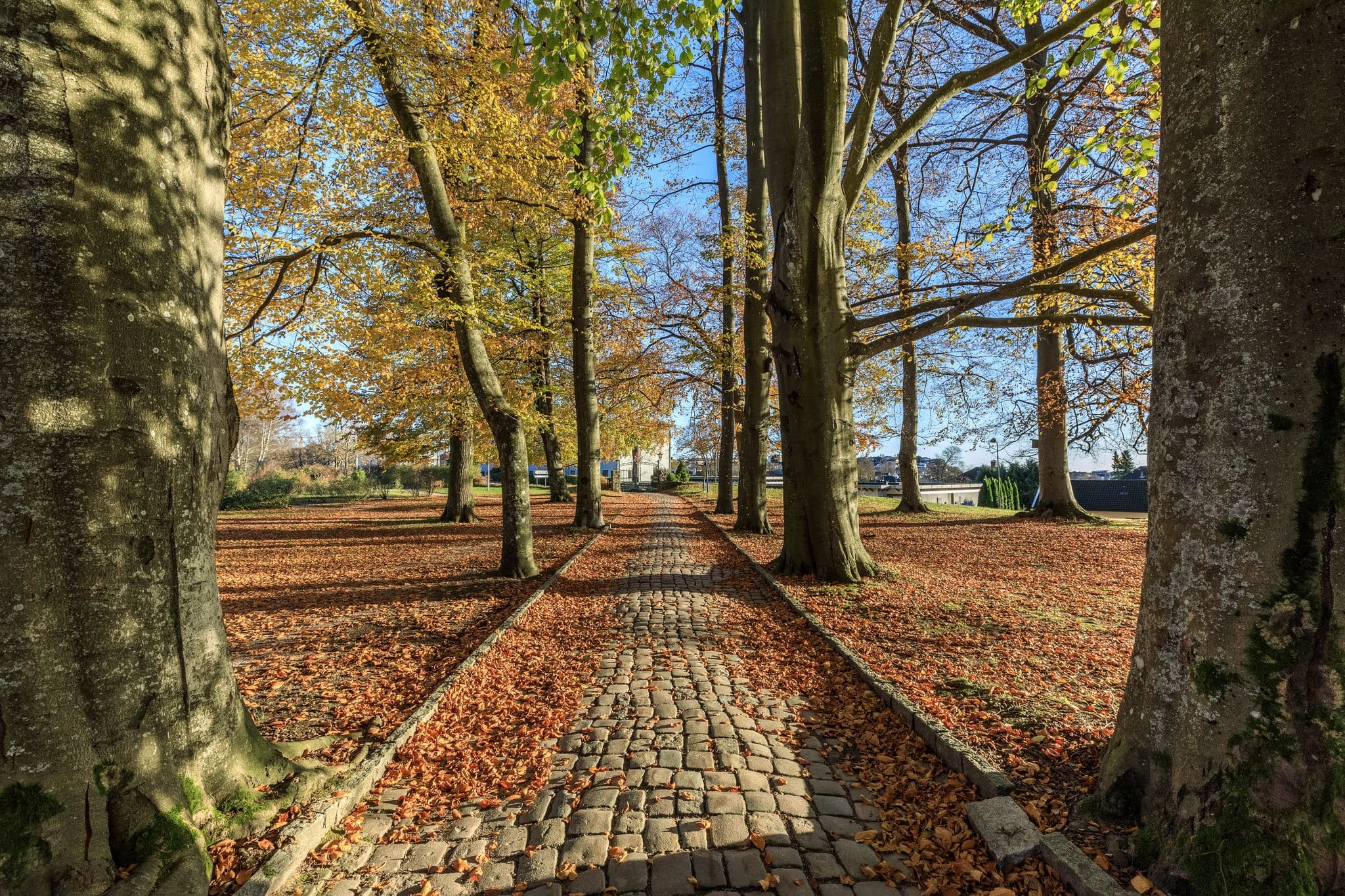 Old road of cobblestone in the botanical garden at Gimle Gaard, in Kristiansand, Norway