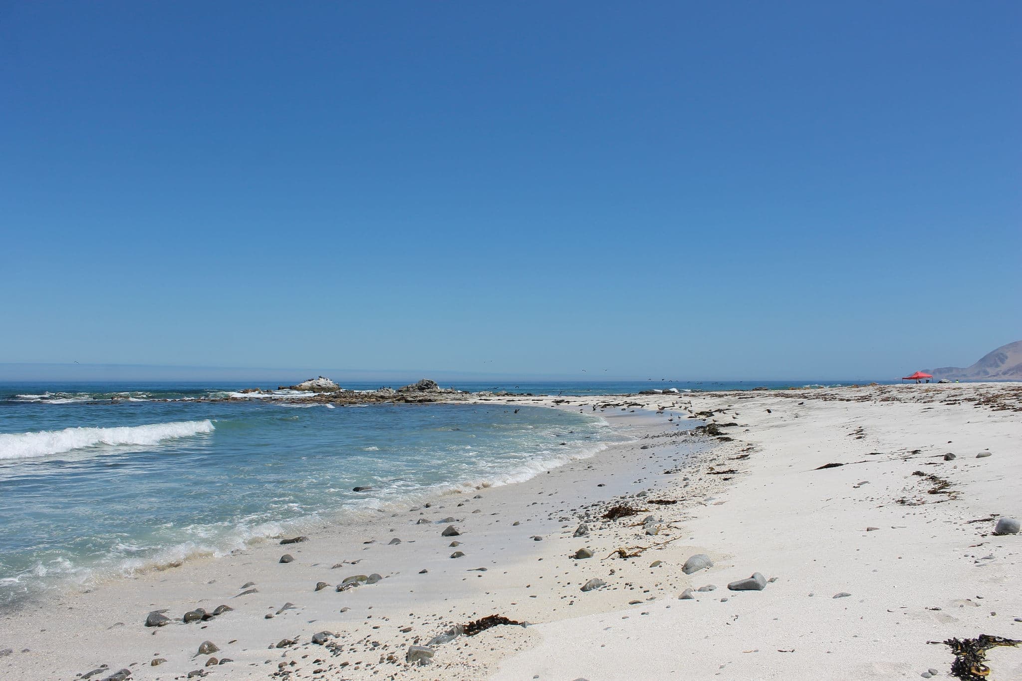 Pacific Ocean Beach Iquique Chile 
