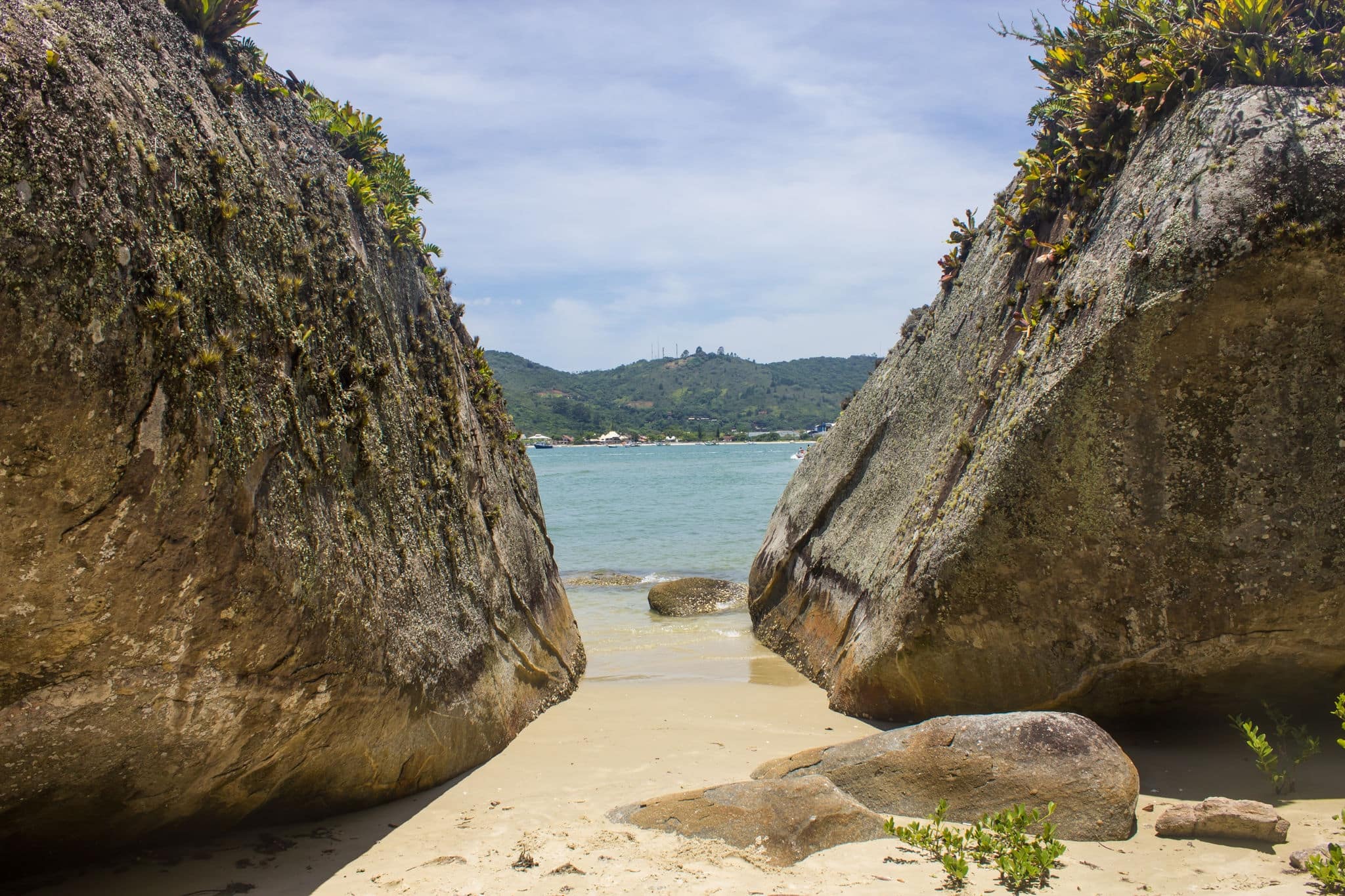 Ilha de Porto Belo - Porto Belo - Santa Catarina - Brazil
