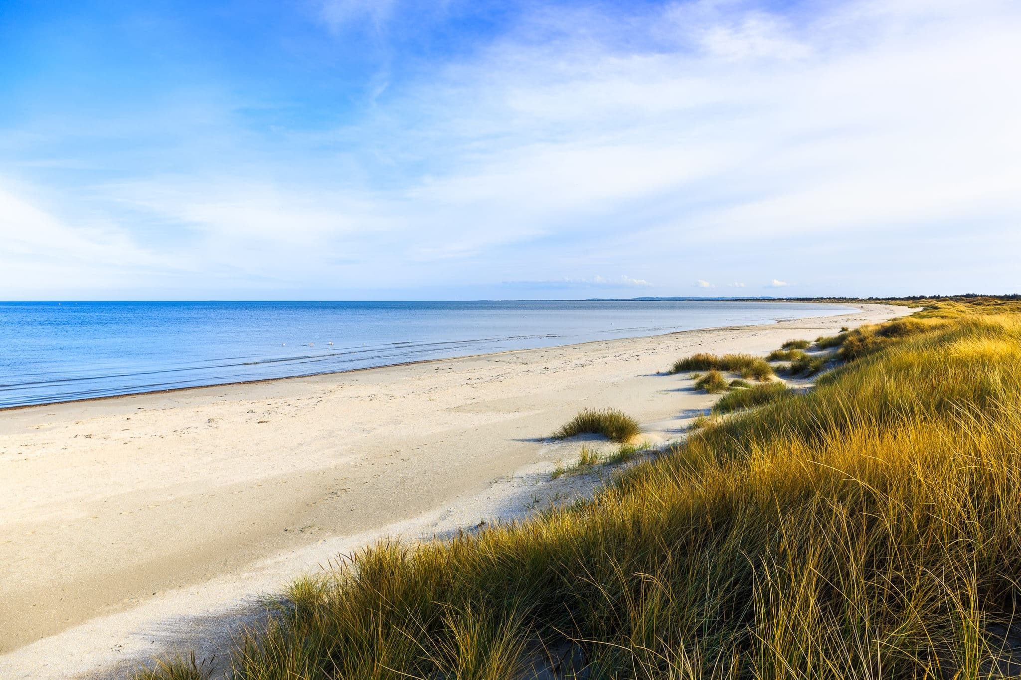 Beach at the little village AalbÃ¦k near Skagen in the area of Kattegat