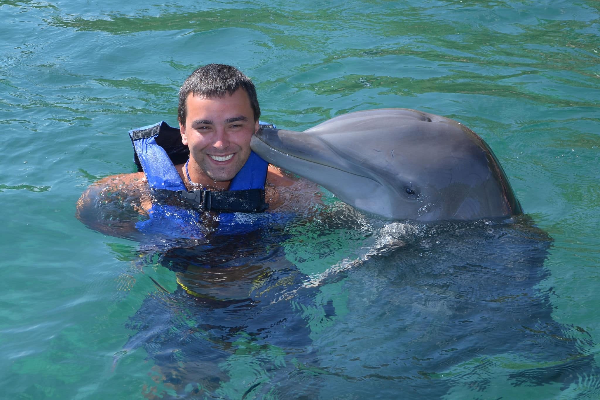 Dolphin swim and kiss man