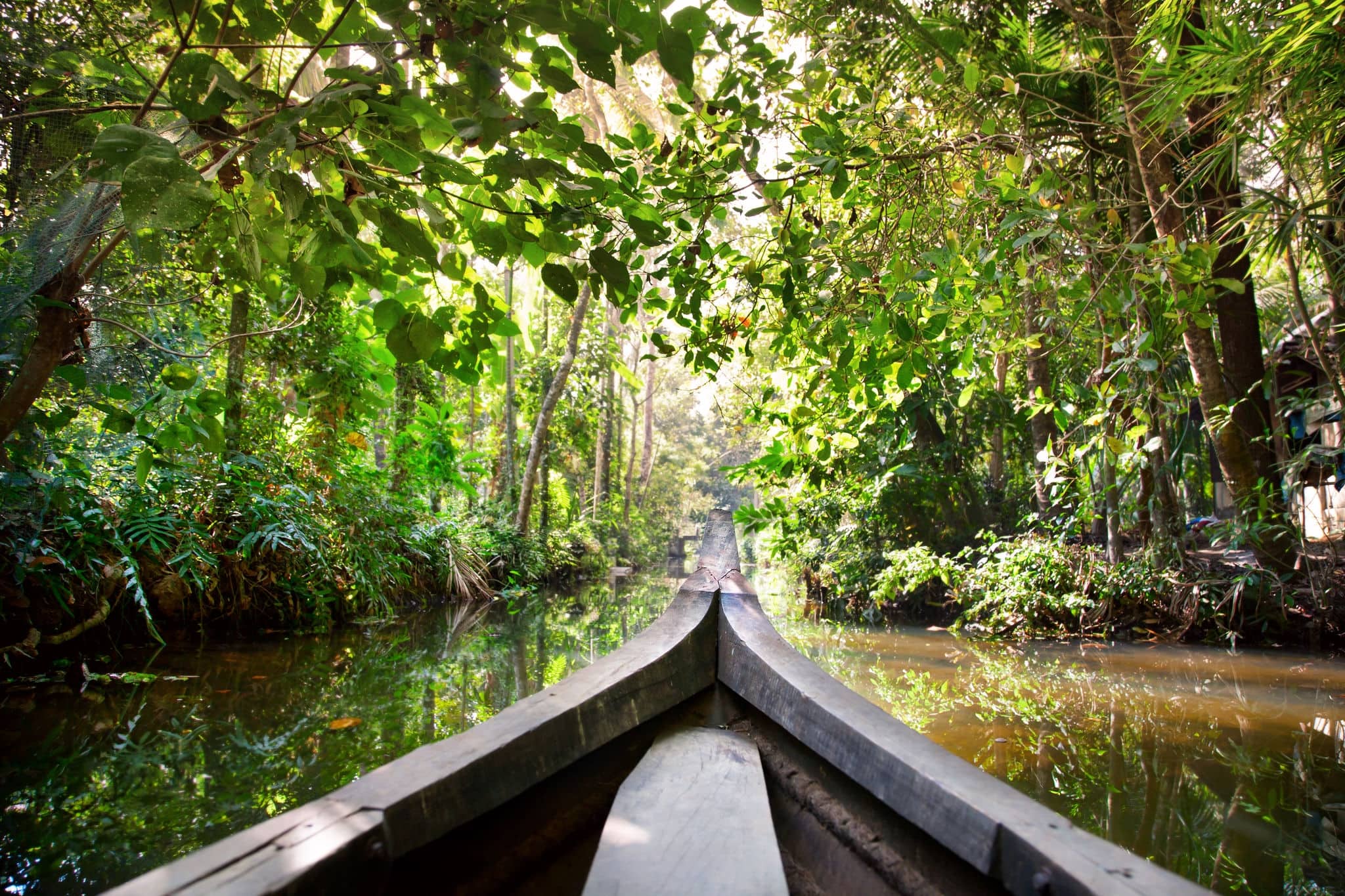 Wooden boat cruise in backwaters jungle in Kochin, Kerala, India