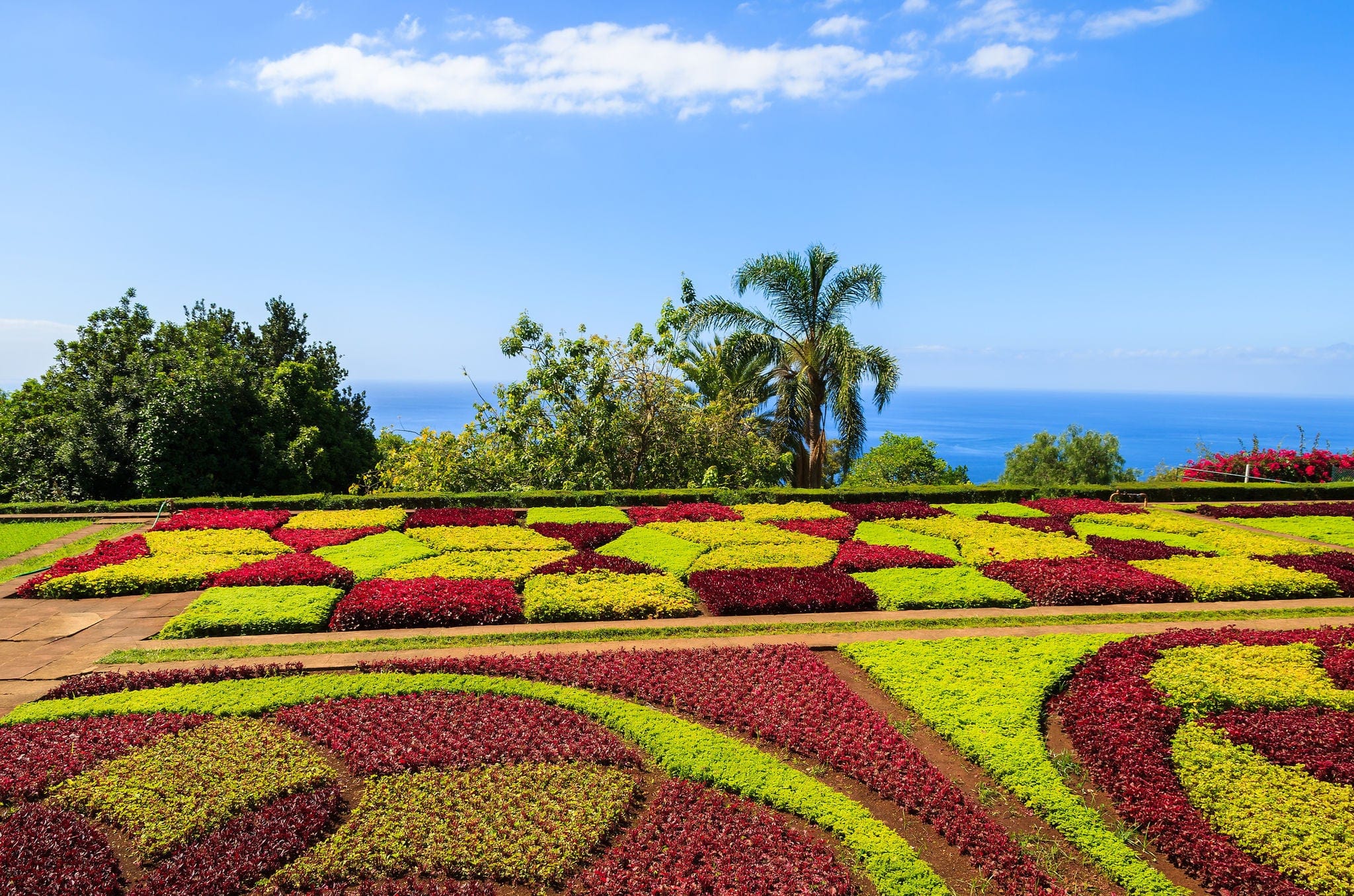 Famous Tropical Botanical Gardens in Funchal town, Madeira island, Portugal 