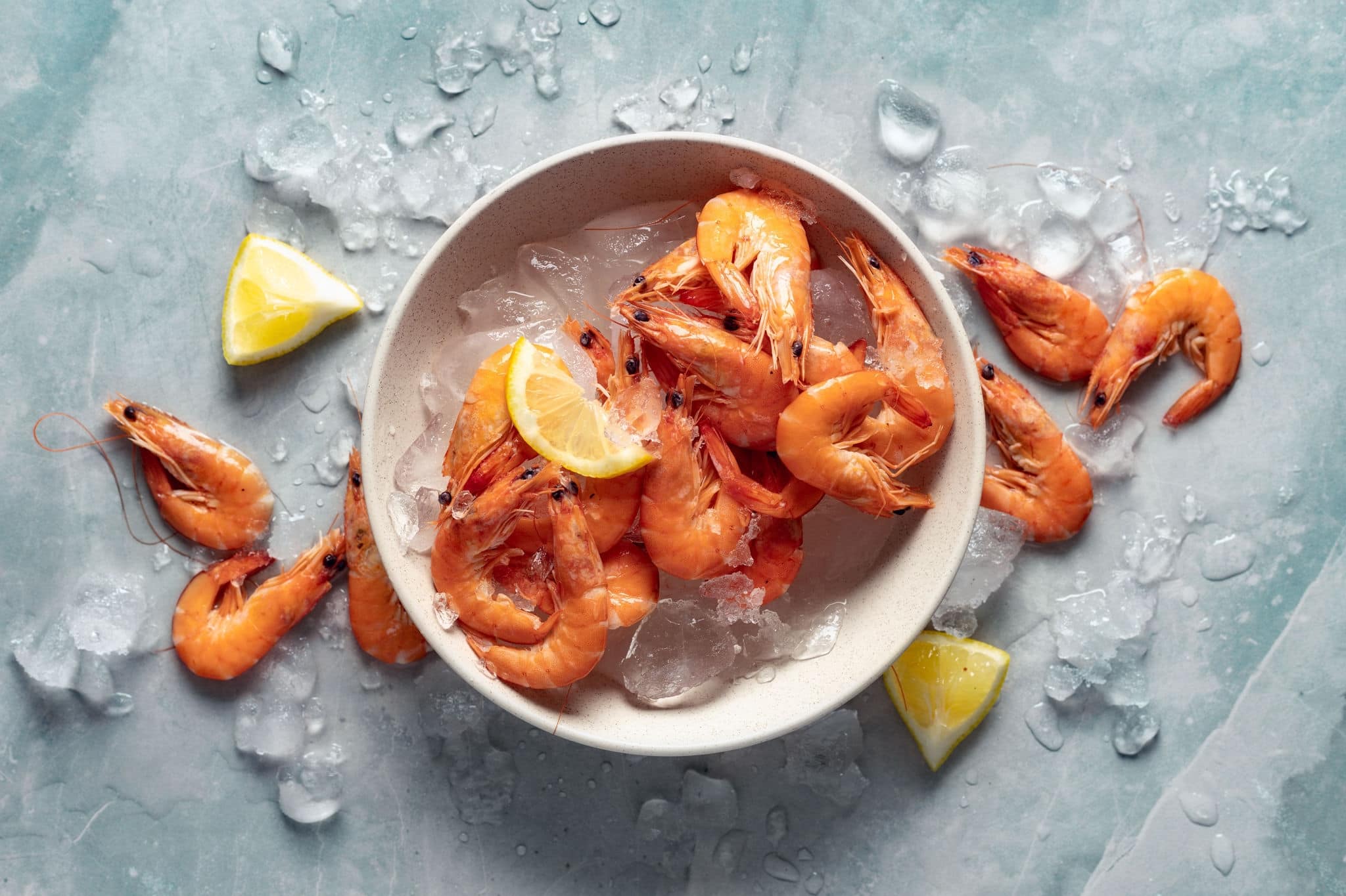 Healthy food. Fresh shrimps with ice on plate on light background top view