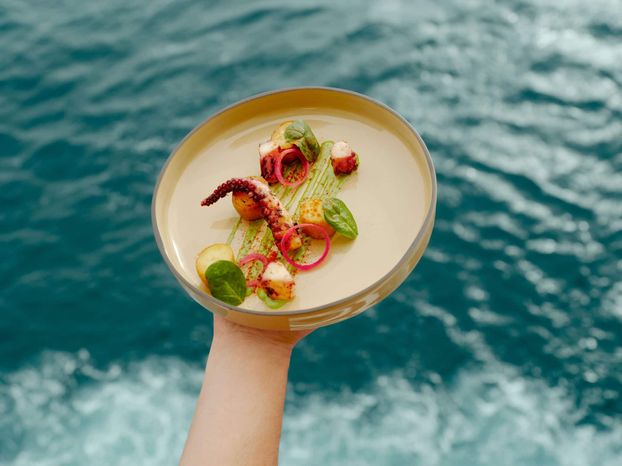 Plate of food over water. 