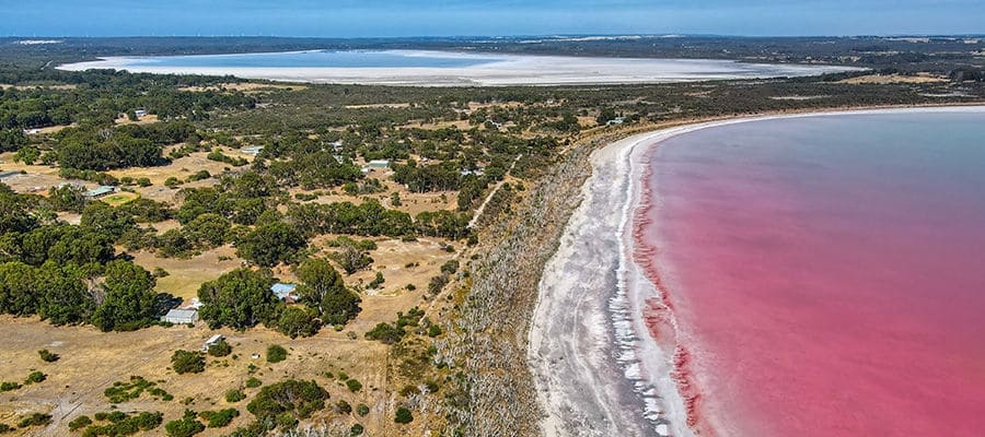 pink lake