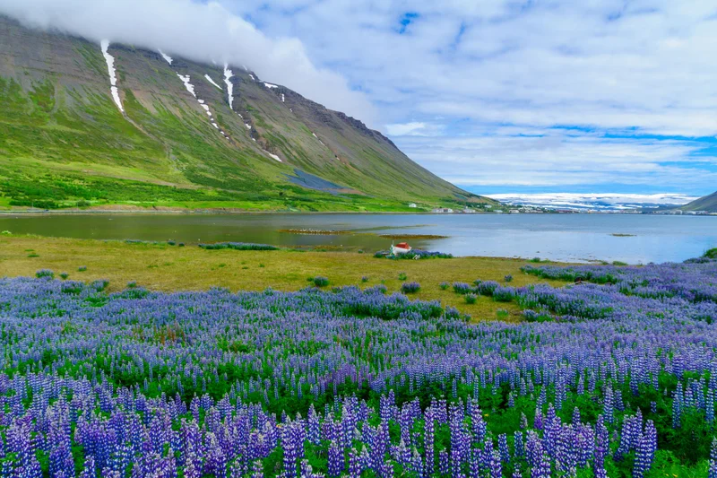 Isafjordur, Iceland