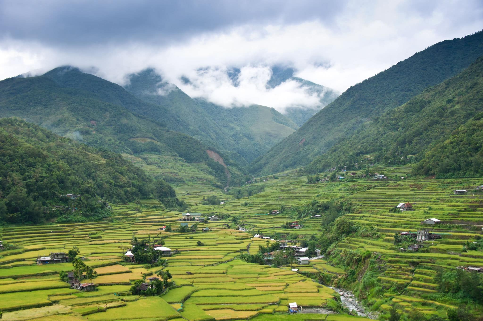 Hapao Rice Terraces, North of Manila, Philippines