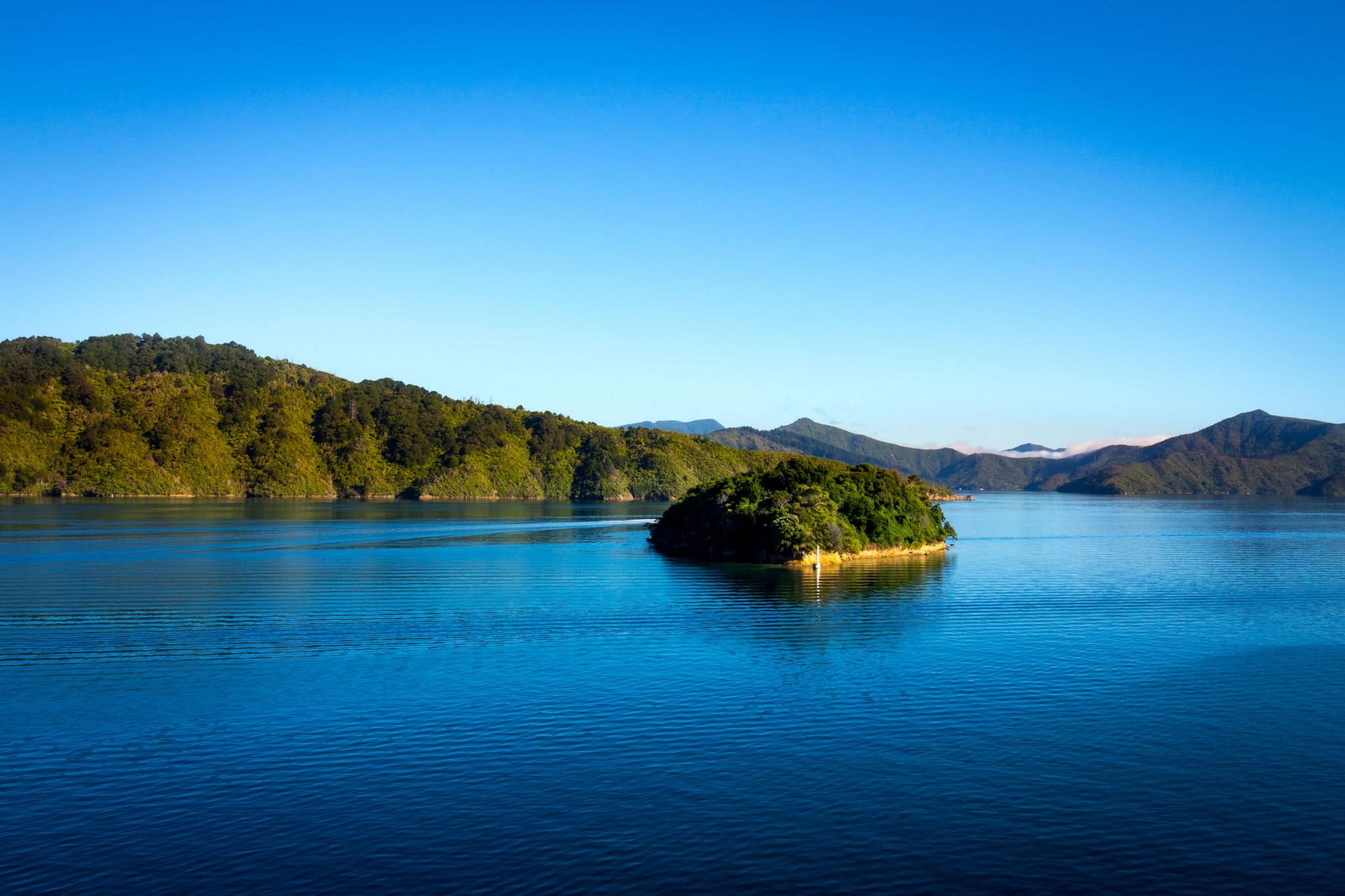 Picton to Wellington Travel - New Zealand.