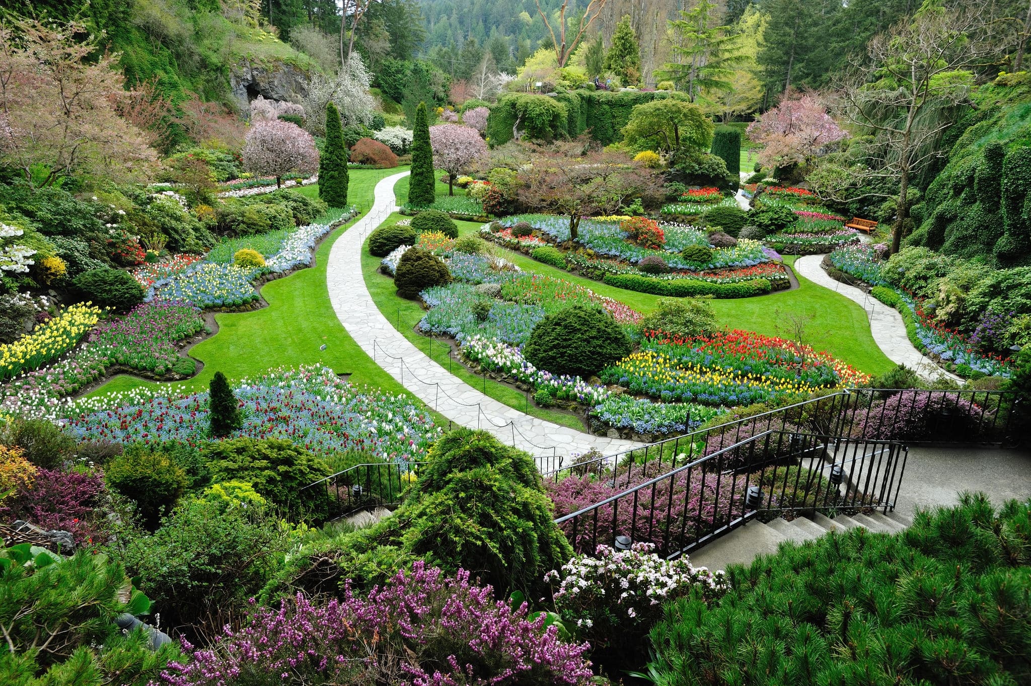 Sunken garden inside the historic butchart gardens in spring, victoria, british columbia, canada