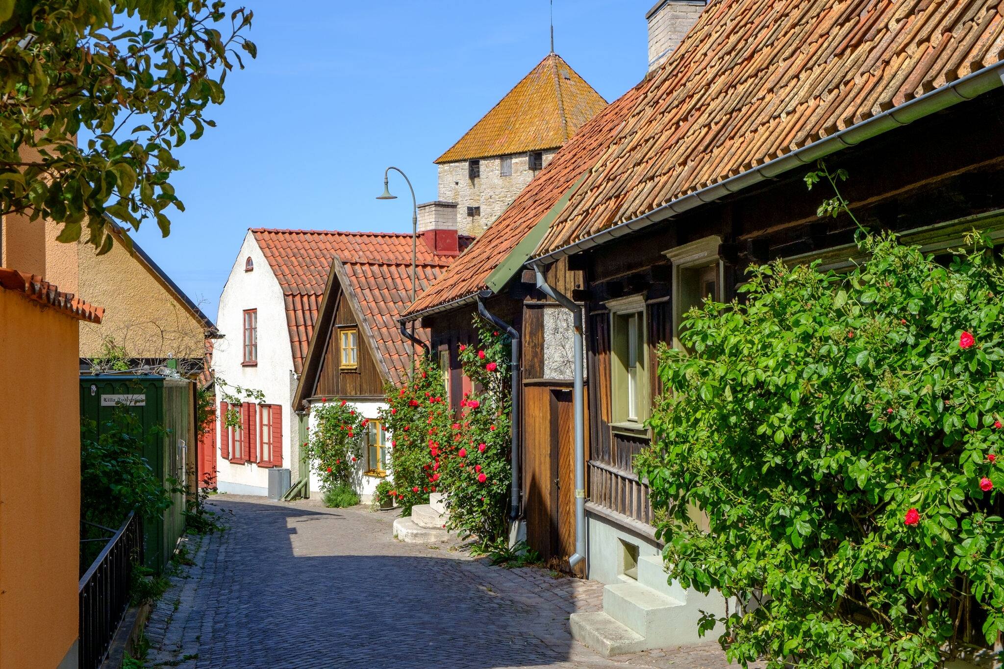 Medieval alley in the historic Hanse town Visby, Sweden. The gunpowder tower of Visby ring wall, a Unesco World Heritage site, is visible in the background.