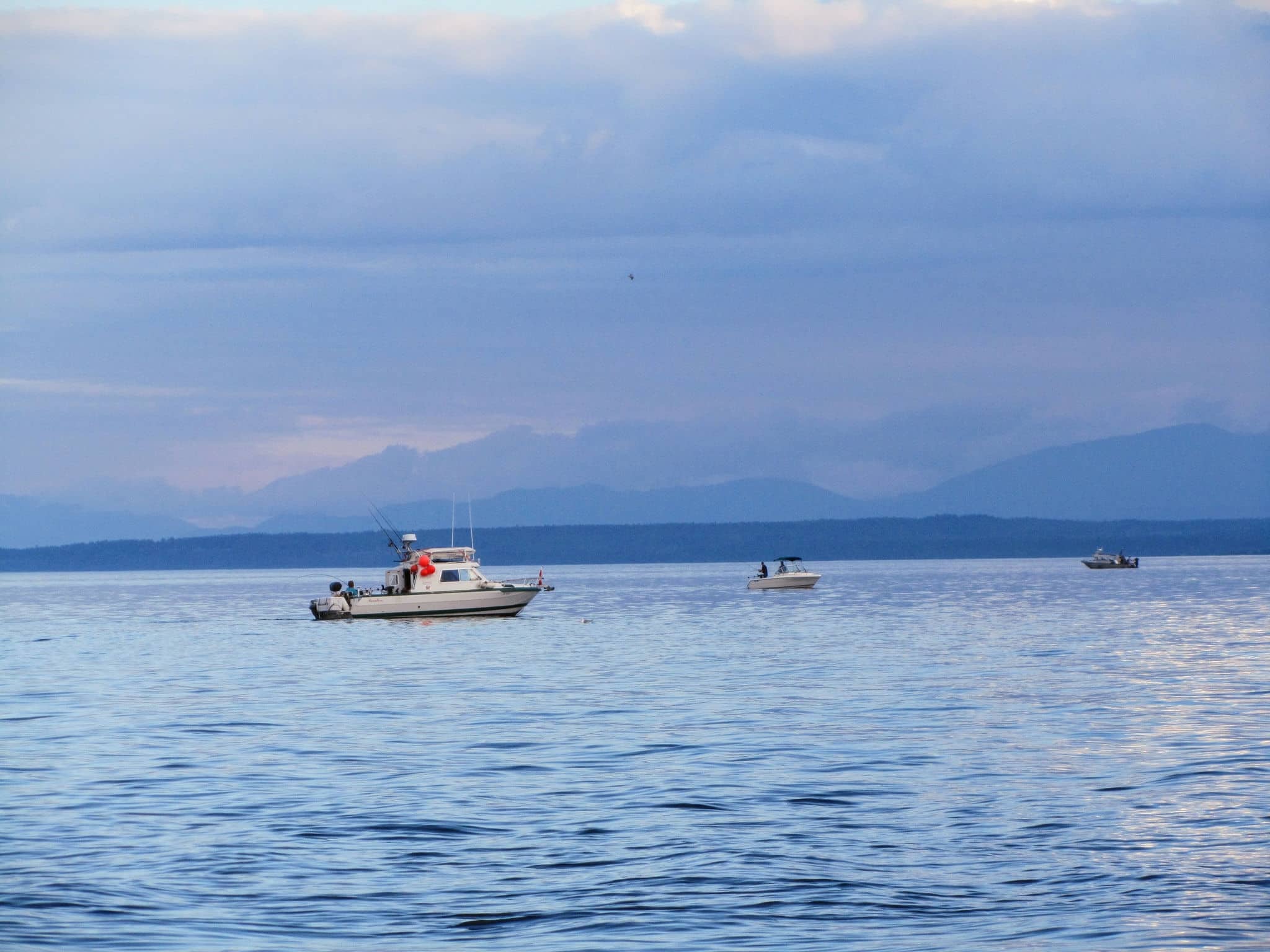 three small fishing boats trolling for salmon on the coast of Vancouver Island, British Columbia