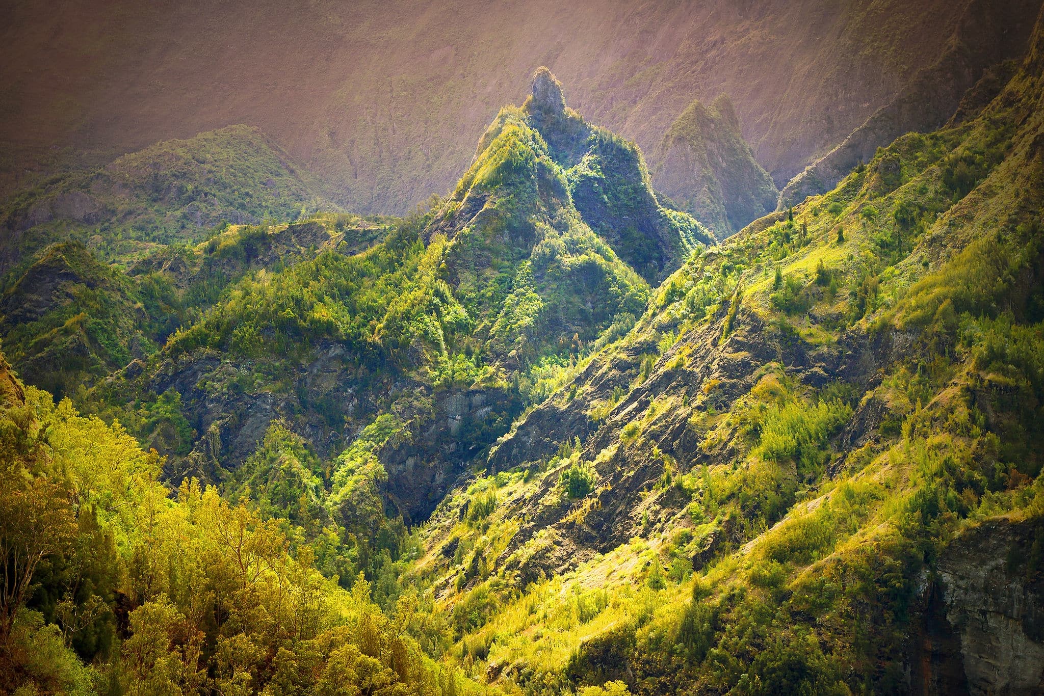 Wilderness area in center of Reunion Island. Warm filtered picture.